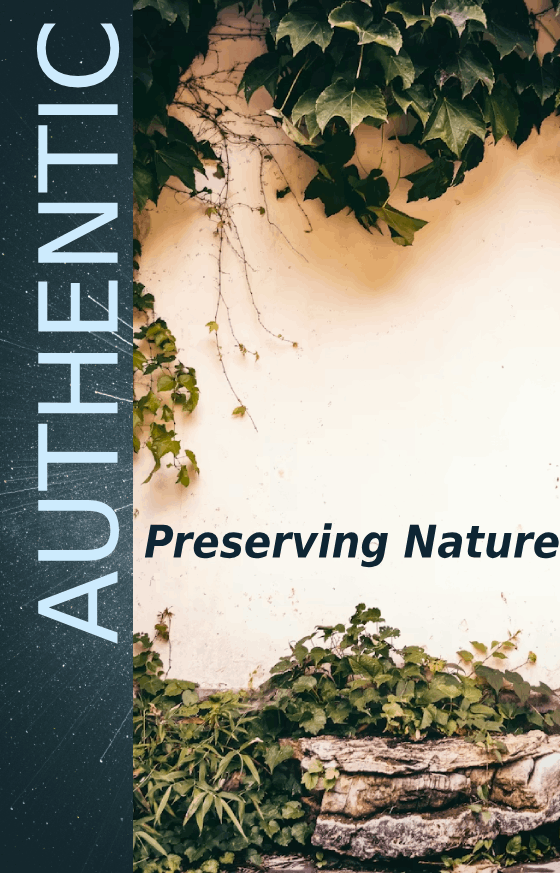 cms-image/cms/mangrove_7/html/a6546148-fbaf-4aa5-9054-9d576e5249e4_Mangrove-vertical.png